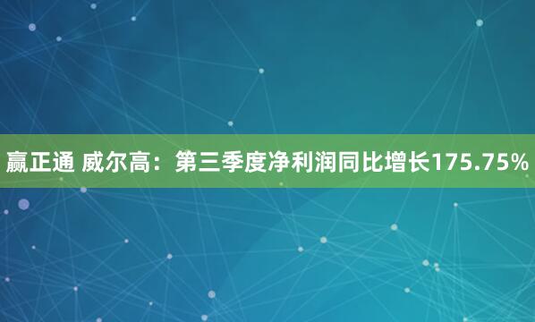 赢正通 威尔高：第三季度净利润同比增长175.75%