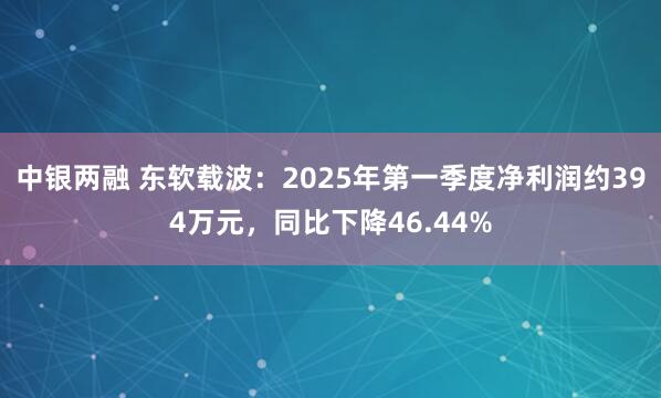 中银两融 东软载波：2025年第一季度净利润约394万元，同比下降46.44%