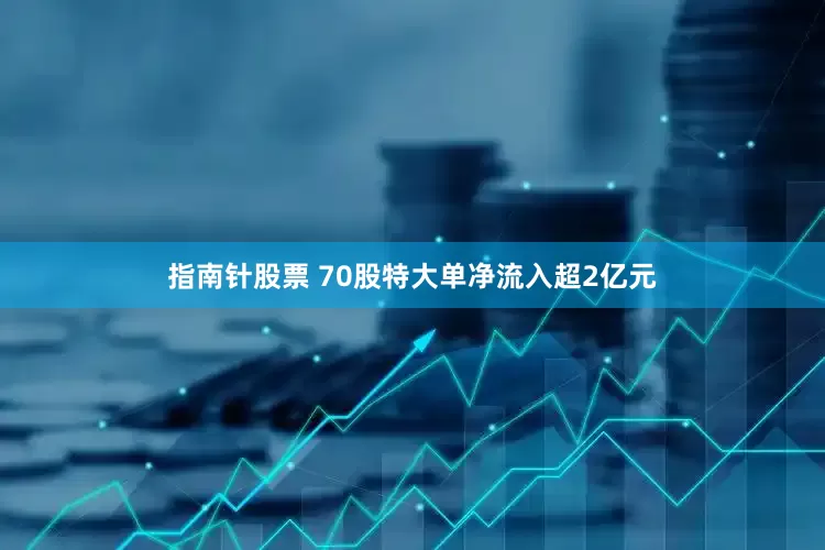 指南针股票 70股特大单净流入超2亿元